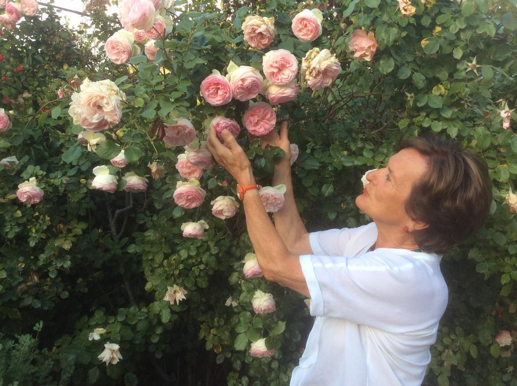 La Villa Rosalie Ventabren Dış mekan fotoğraf